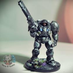 Рейнор miniature (StarCraft)